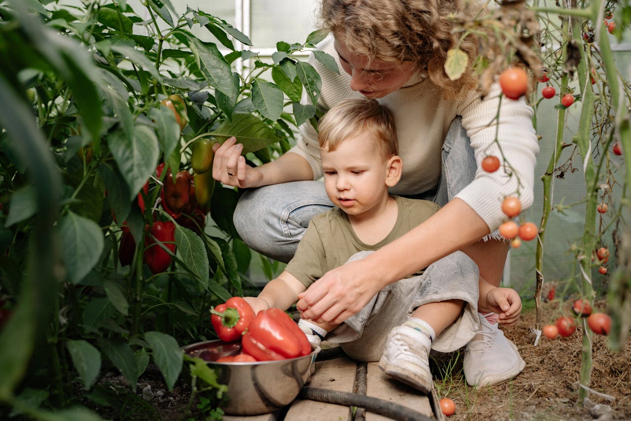 Plagas del cultivo de pimiento más frecuentes