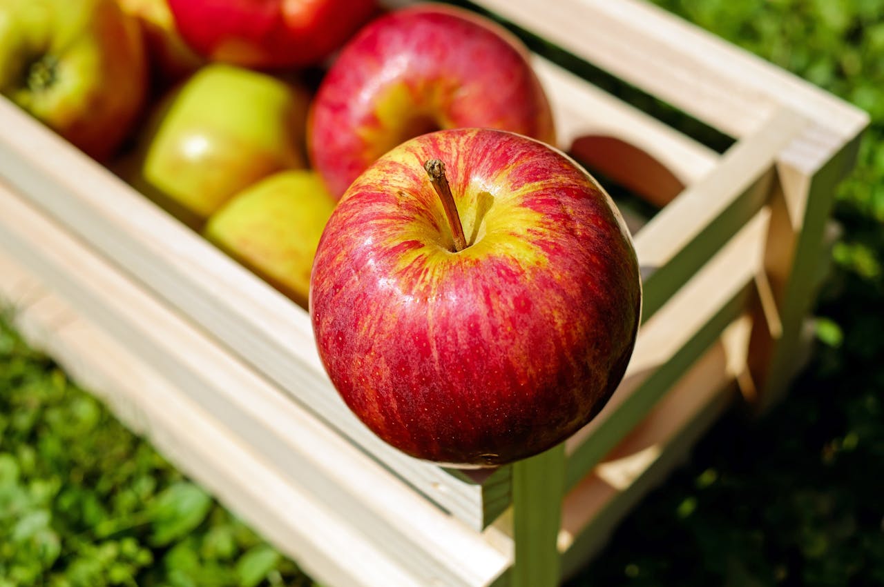 ¿Qué es una manzana?