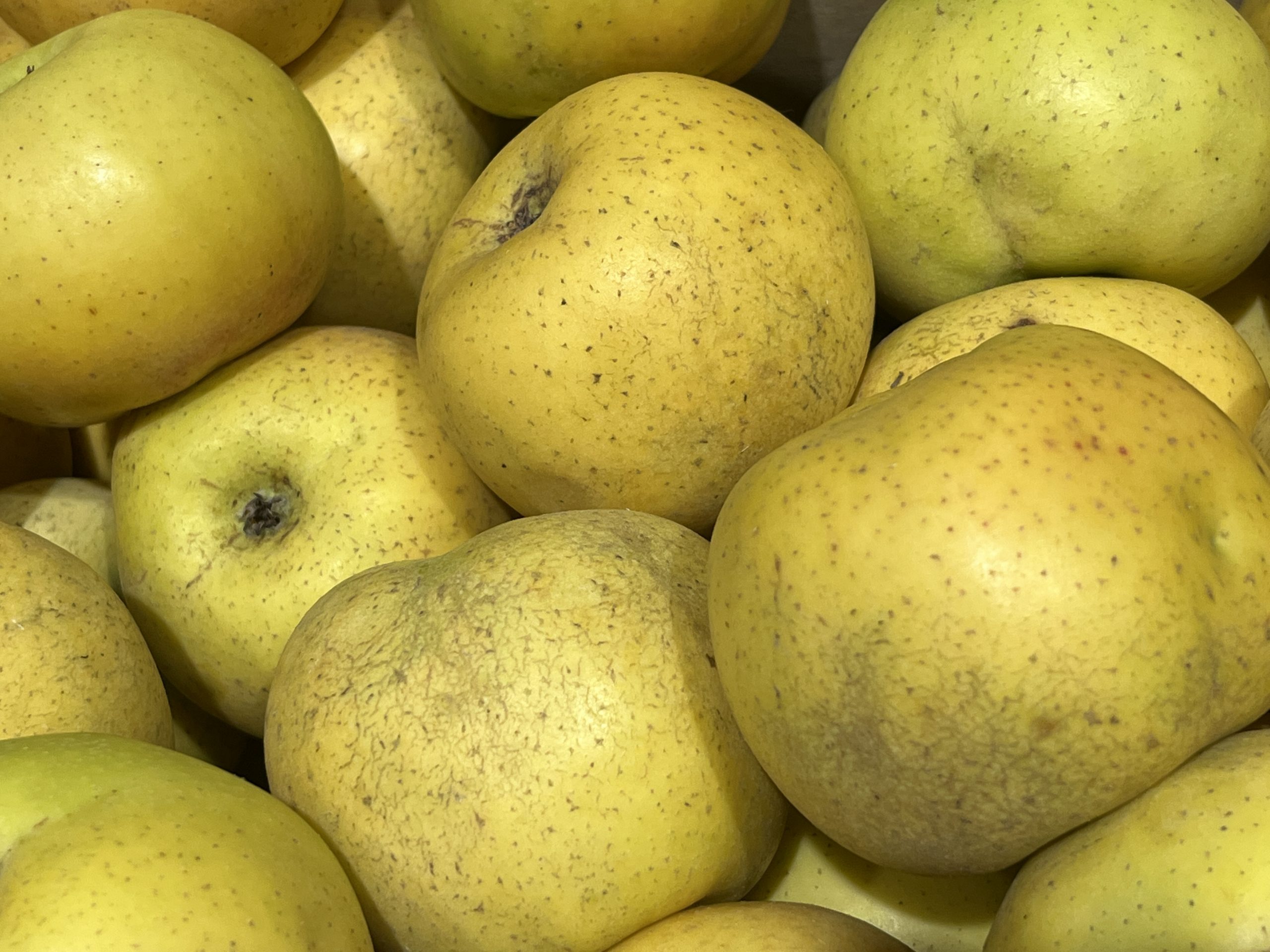 Manzana Chantecler