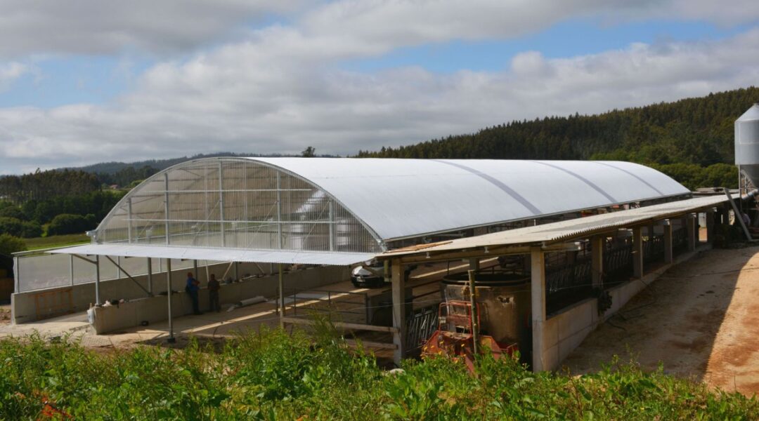 Ventajas de las cubiertas de policarbonato en invernaderos